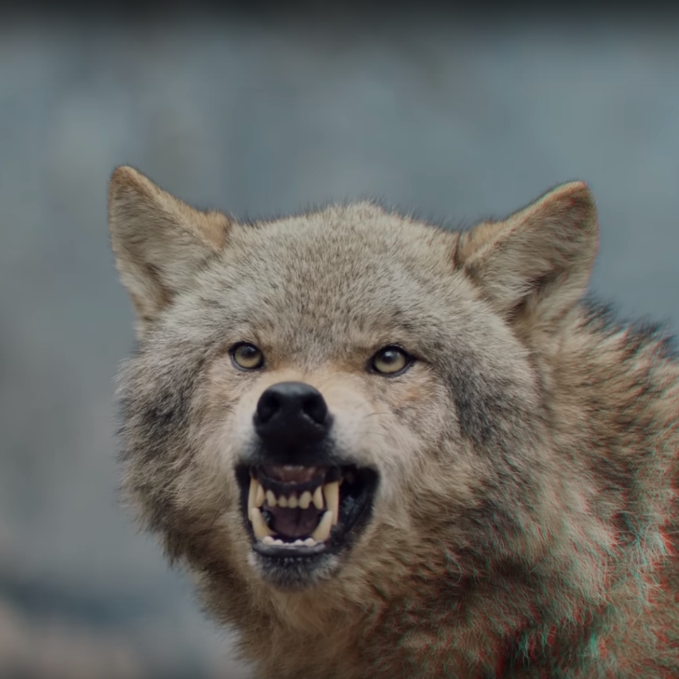 Мелиса Мендини порно онлайн